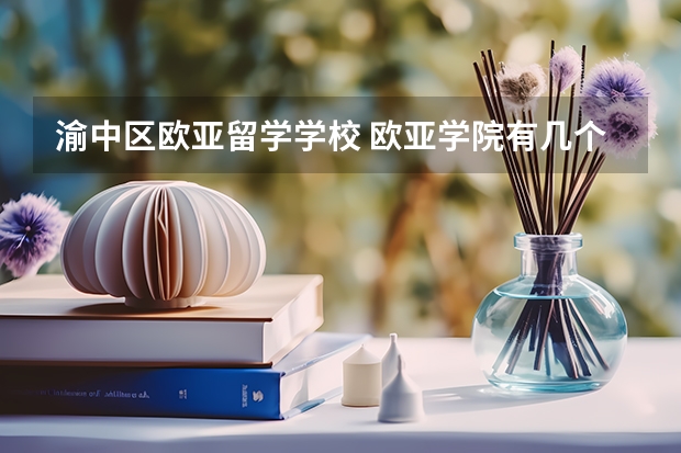 渝中区欧亚留学学校 欧亚学院有几个校区