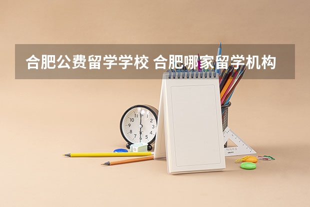 合肥公费留学学校 合肥哪家留学机构好？