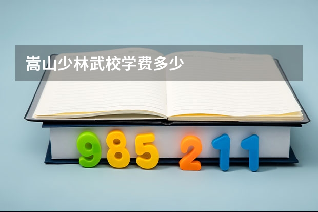 嵩山少林武校学费多少