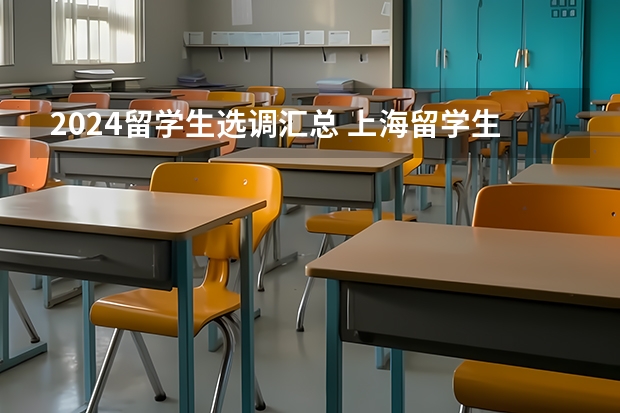 2024留学生选调汇总 上海留学生选调生政策