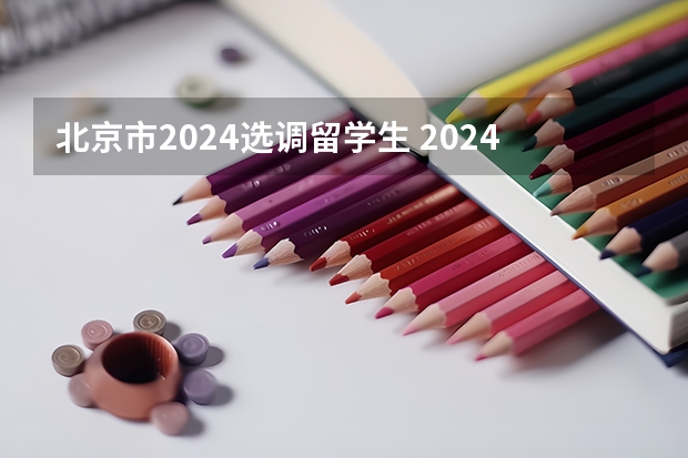 北京市2024选调留学生 2024年选调生报名时间？