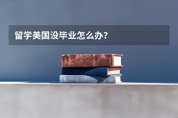 留学美国没毕业怎么办？