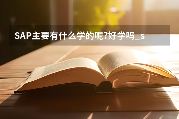 SAP主要有什么学的呢?好学吗_sap难学吗