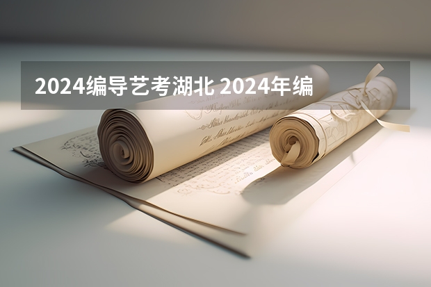 2024编导艺考湖北 2024年编导艺考生新政策