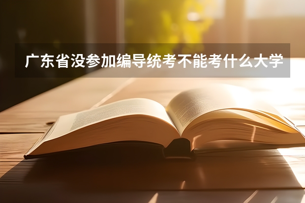 广东省没参加编导统考不能考什么大学