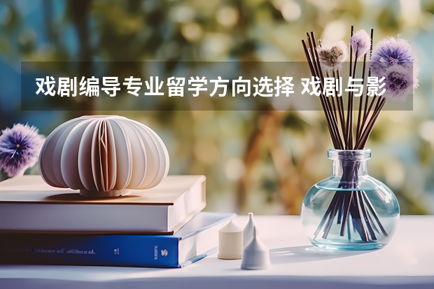 戏剧编导专业留学方向选择 戏剧与影视学类专业就业方向