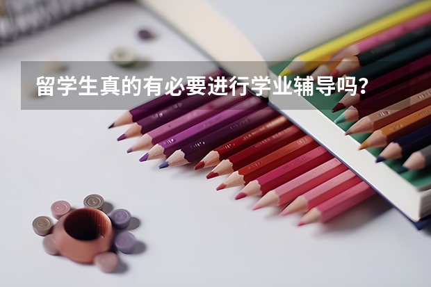 留学生真的有必要进行学业辅导吗？