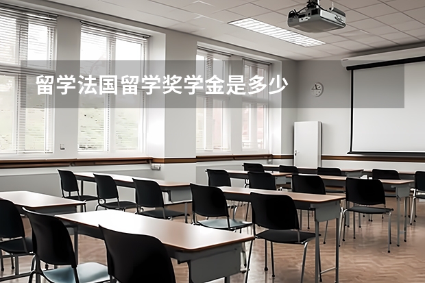 留学法国留学奖学金是多少