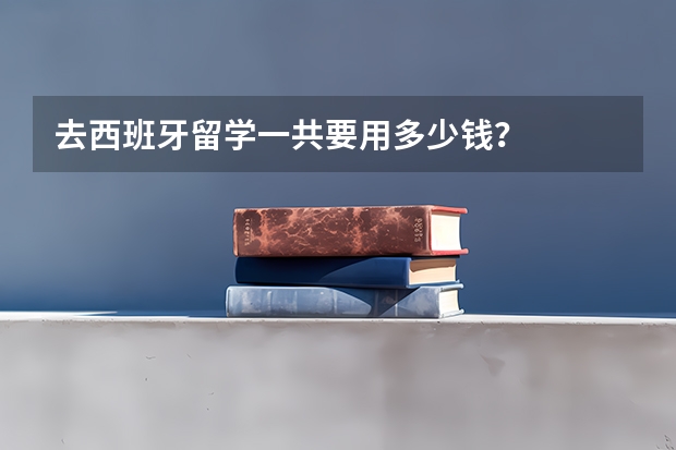 去西班牙留学一共要用多少钱？