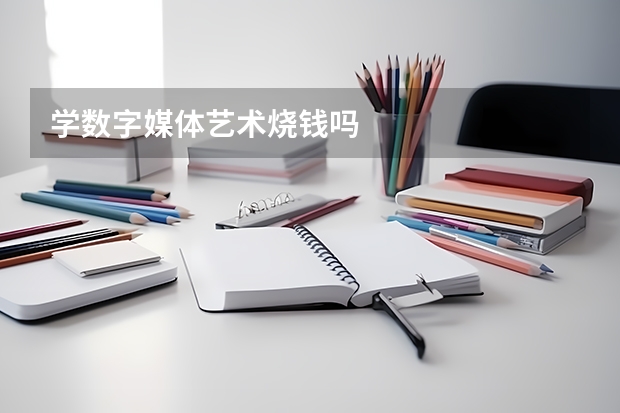 学数字媒体艺术烧钱吗