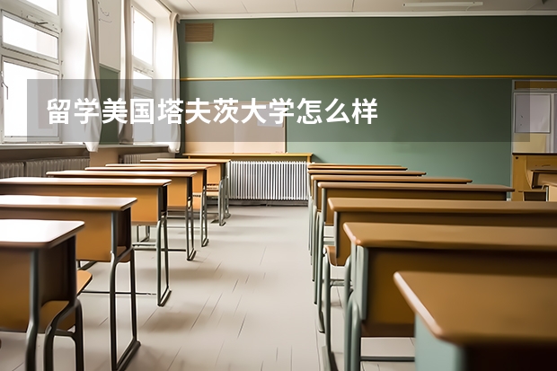 留学美国塔夫茨大学怎么样