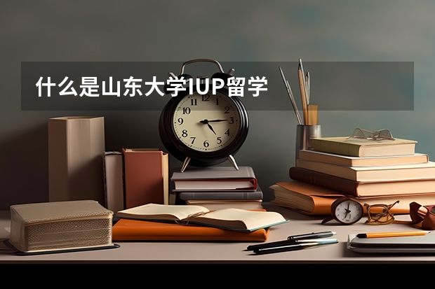 什么是山东大学IUP留学