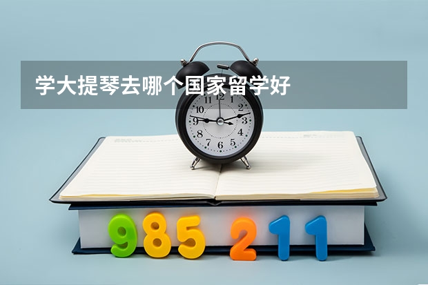 学大提琴去哪个国家留学好