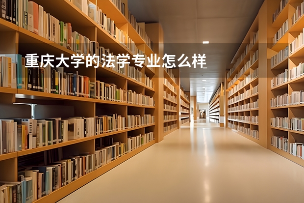 重庆大学的法学专业怎么样