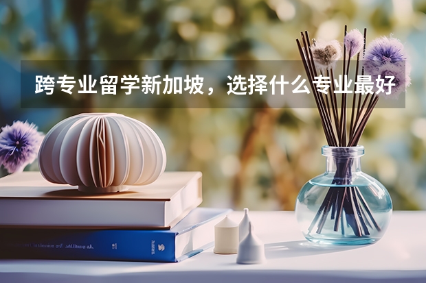 跨专业留学新加坡，选择什么专业最好