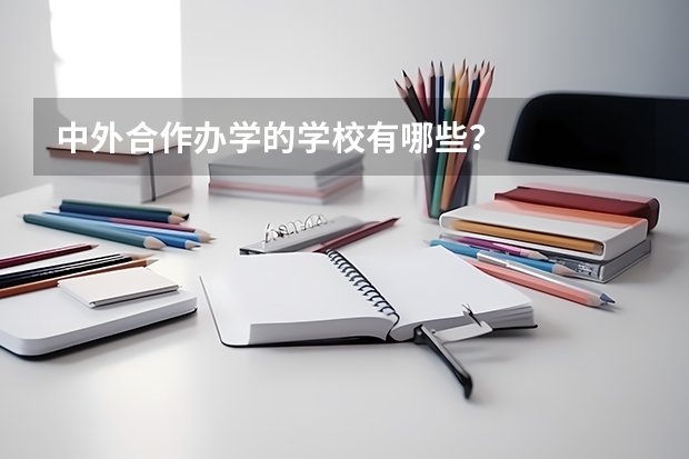 中外合作办学的学校有哪些？