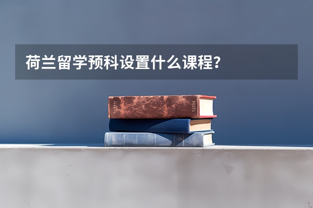 荷兰留学预科设置什么课程？