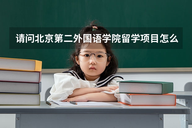 请问北京第二外国语学院留学项目怎么样啊？