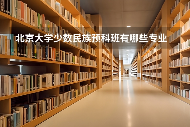 北京大学少数民族预科班有哪些专业