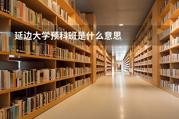 延边大学预科班是什么意思