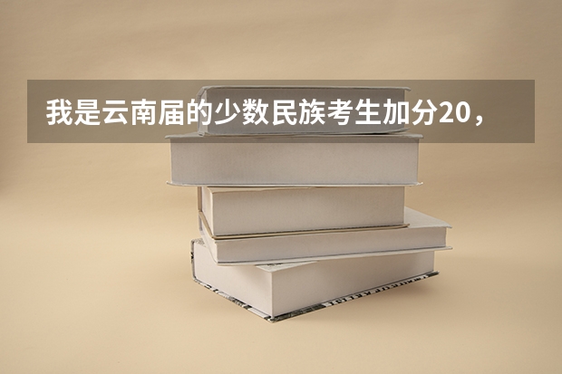 我是云南届的少数民族考生加分20，我今年高考分数是391有希望进云南名族大学预科班吗？