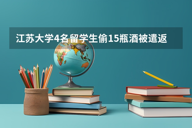 江苏大学4名留学生偷15瓶酒被遣返，你觉得这个惩罚如何？