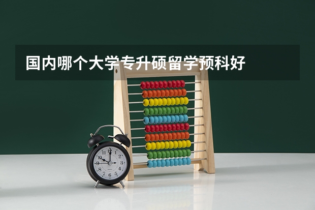 国内哪个大学专升硕留学预科好