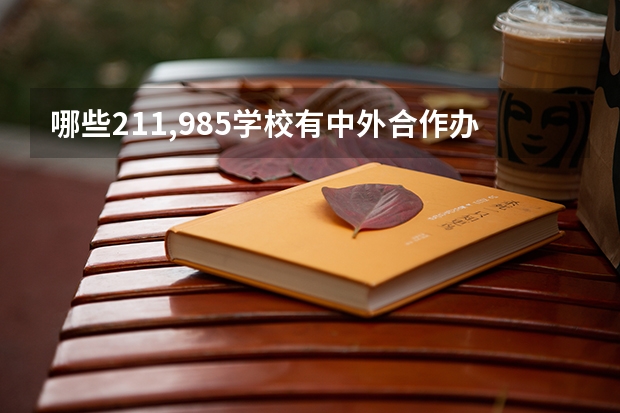 哪些211,985学校有中外合作办学