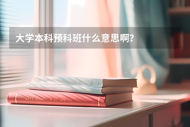 大学本科预科班什么意思啊？