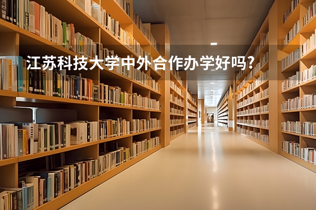 江苏科技大学中外合作办学好吗?