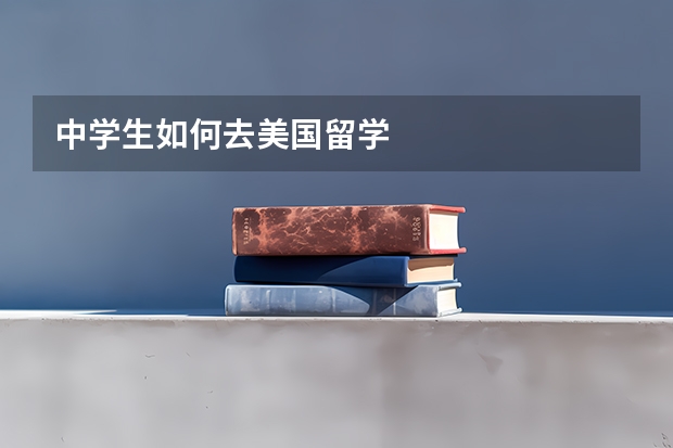 中学生如何去美国留学