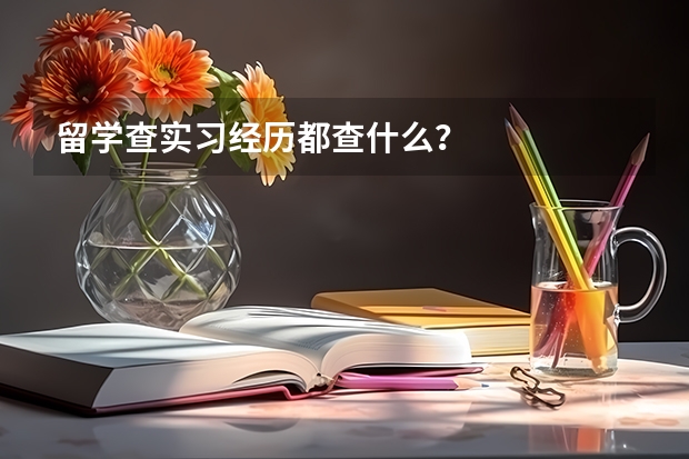 留学查实习经历都查什么？