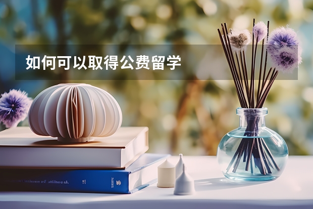 如何可以取得公费留学