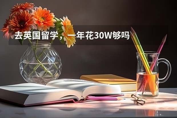 去英国留学，一年花30W够吗