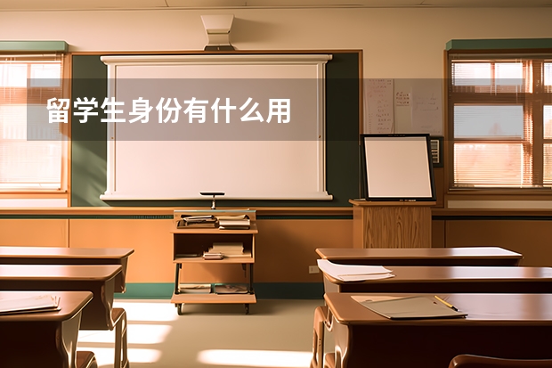 留学生身份有什么用