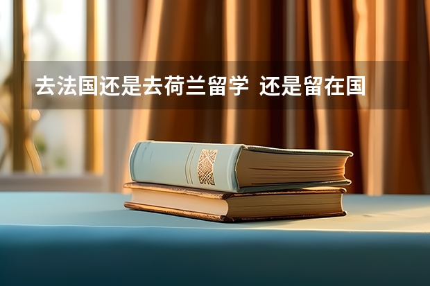 去法国还是去荷兰留学  还是留在国内上一所普通的本二  我该怎么选择