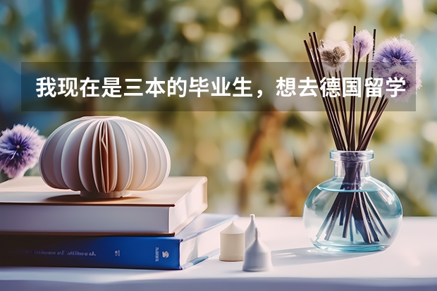 我现在是三本的毕业生，想去德国留学是读大学还是考研呢？