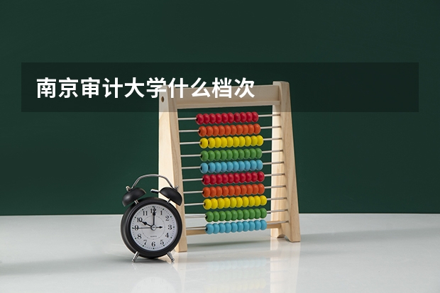 南京审计大学什么档次